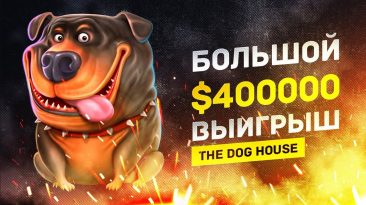 Огромный выигрыш в The Dog House